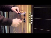 /album/alfazar-zarszerviz/cisa-tollas-jpg/